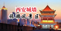 想看免费的日B视频中国陕西-西安城墙旅游风景区